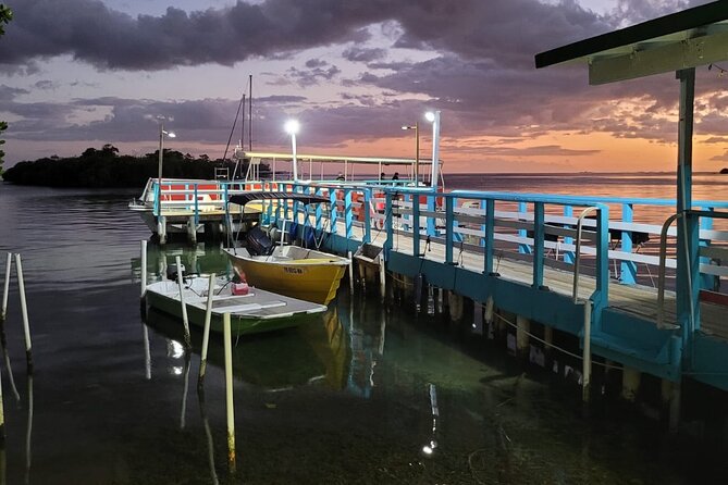 La Parguera Bio Bay Boat Ride and Swimming w/ San Juan Transport - Swimming among the sparkles