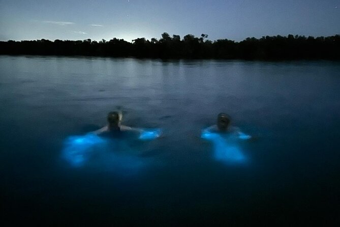 La Parguera Bio Bay Boat Ride and Swimming w/ San Juan Transport - Why moon phase and weather matter