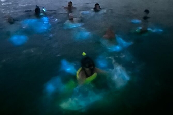 La Parguera Bio Bay Boat Ride and Swimming w/ San Juan Transport - How much value do you get for $54.99?