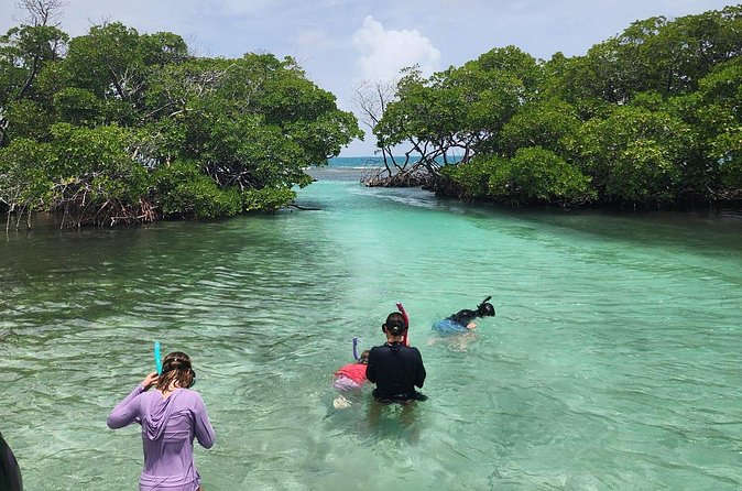 La Parguera Private Boat Charter - What the captain adds to the experience