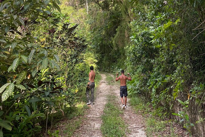Largest Natural Waterslide, River Hike and Beach Tour in Arecibo - The ride from San Juan and the value of included extras