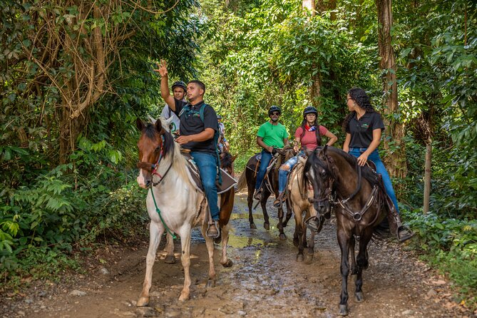 Luquillo Beach Horse Ride from Carabalí Rainforest Adventure Park - From Carabalí Park into the foothills of El Yunque
