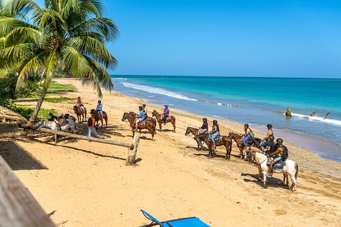 Luquillo Beach Horse Ride from Carabalí Rainforest Adventure Park - Choosing the right horse and settling into the ride
