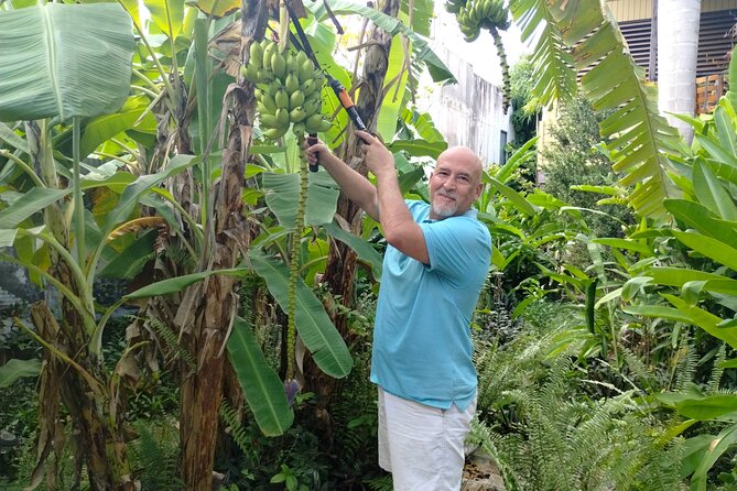 Modern Puerto Rican Cooking Class in a Historic San Germán Home - A Three Hour Visit, From Cocktail to Cooking