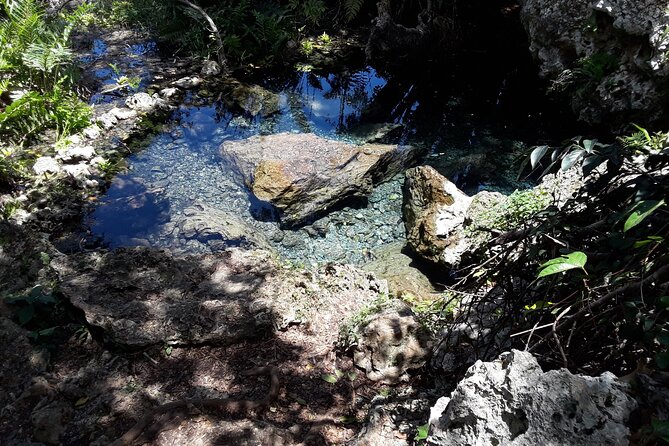 Mountain Bike tour to a Pristine Spring and Cave - The spring and cave make the ride memorable