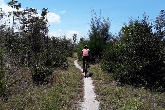 Mountain Bike tour to a Pristine Spring and Cave - What the price includes at $140