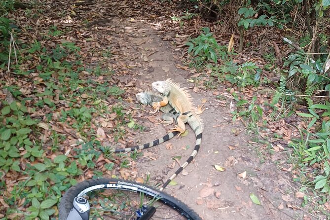 Mountain Bike tour to a Pristine Spring and Cave - Practical advice for a smoother ride