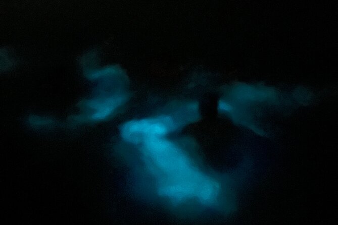 Mystic Waters A Bioluminescent Night Tour - Why the glowing water is worth the late start