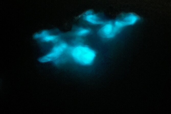 Mystic Waters A Bioluminescent Night Tour - Reaching La Parguera from San Juan