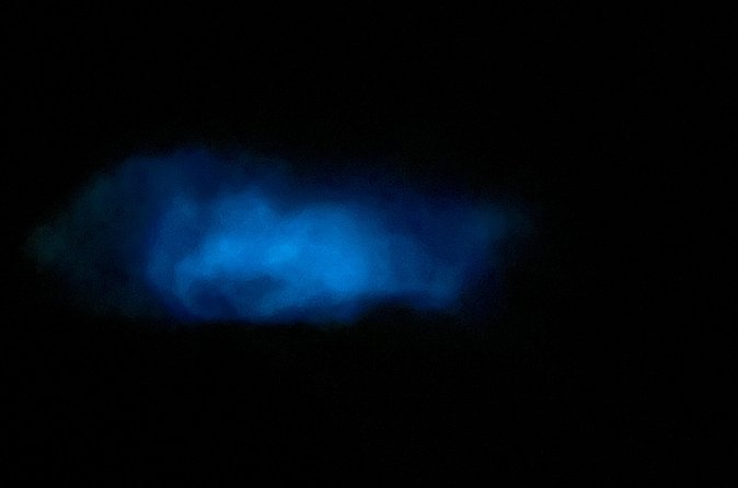 Mystic Waters A Bioluminescent Night Tour - Swimming is optional, not a test