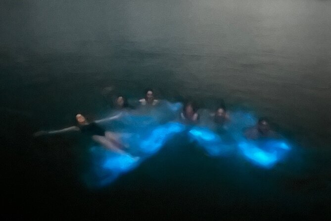 Mystic Waters A Bioluminescent Night Tour - Who will enjoy this Puerto Rico night tour