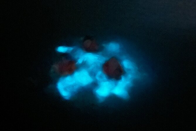 Mystic Waters A Bioluminescent Night Tour - Should you book Mystic Waters?