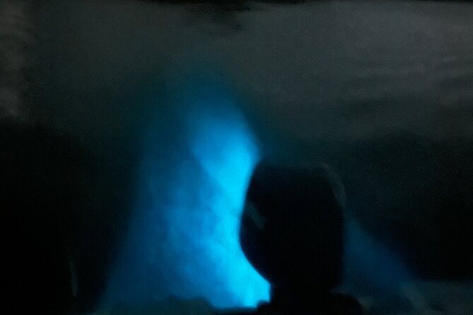 Mystic Waters A Bioluminescent Night Tour - Boarding the boat at 8 p.m.