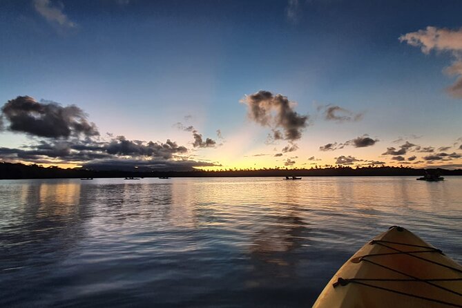 Night Kayaking Experience on Bioluminescent Lagoon in Fajardo - Through the Mangroves to the Lagoon