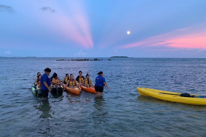 Night Kayaking Experience on Bioluminescent Lagoon in Fajardo - Seeing the Bioluminescent Water