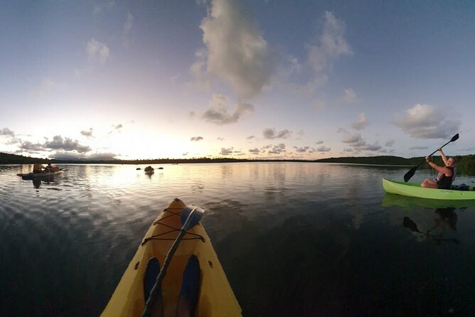 Night Kayaking Experience on Bioluminescent Lagoon in Fajardo - How the Guides Shape the Experience
