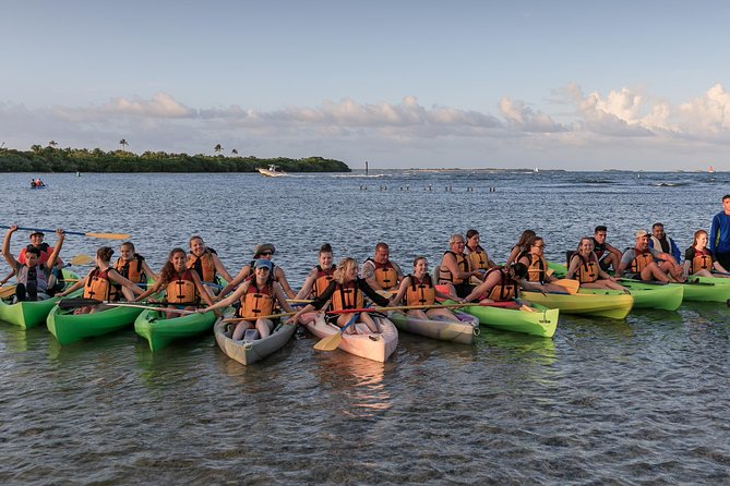 Night Kayaking Experience on Bioluminescent Lagoon in Fajardo - What to Bring and What Is Missing