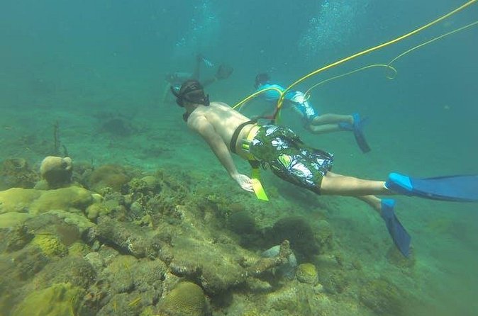 OCTOPUS DIVING (hookah diving) NO Experience Needed - How the floating air system works at Steps Beach
