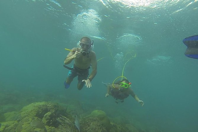 OCTOPUS DIVING (hookah diving) NO Experience Needed - The first hour on the beach