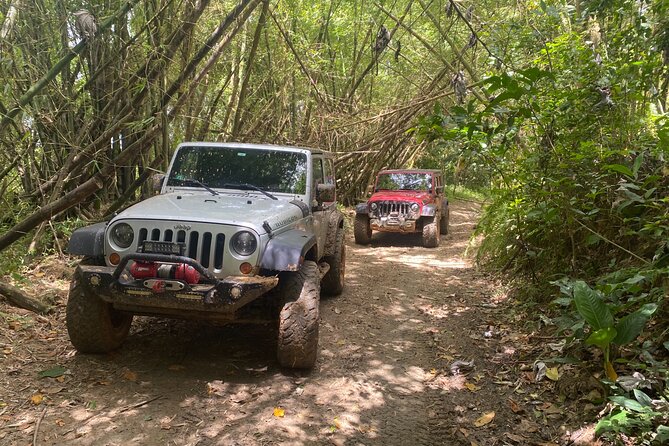 Off-Road Jeep Adventure from Carolina - Key things to know before you book