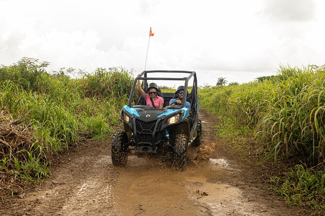 Off-Road UTV Tour : Explore Puerto Rico minutes from San Juan - Is $128.50 a fair price?