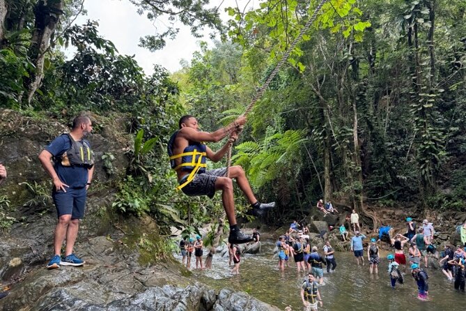 "Off the beaten path" Rain Forest Guided hike with Transportation - Key points to know before booking
