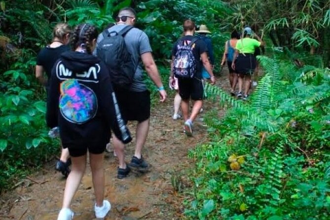 "Off the beaten path" Rain Forest Guided hike with Transportation - Natural water slides and the value of a good guide