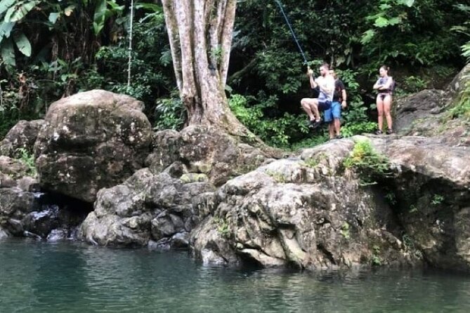 "Off the beaten path" Rain Forest Guided hike with Transportation - The 9:30 a.m. start and transportation