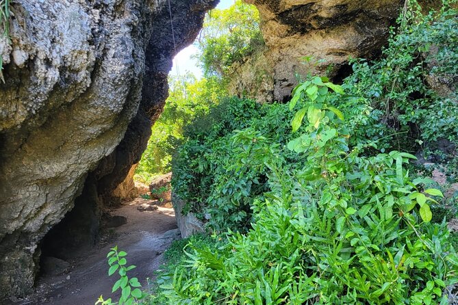 Old San Juan and Piñones Sightseeing Experience! - Is $120 a Fair Price?