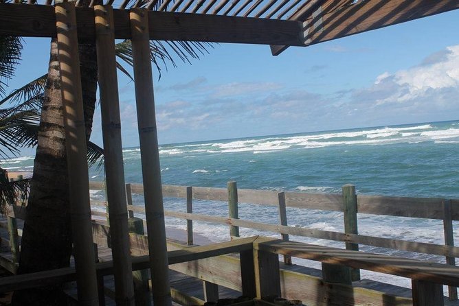Old San Juan and Piñones Sightseeing Experience! - Who Will Like This Half-Day Tour