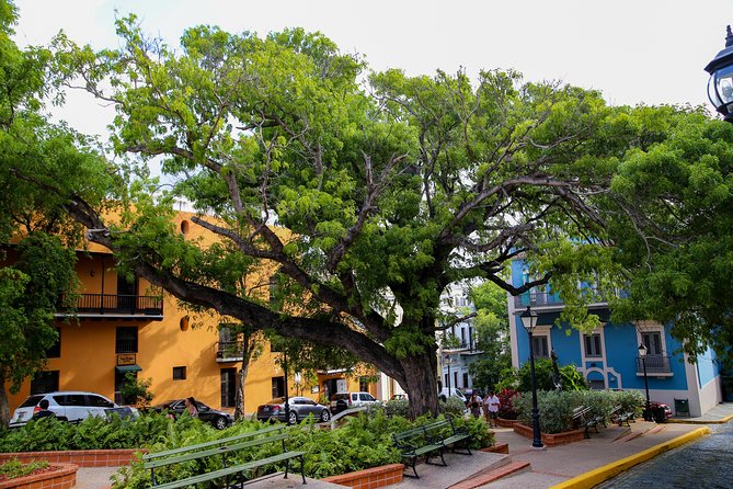Old San Juan and Rum Factory Full-Day Tour: Minimum 8+ people - Comfort, timing, and what to bring