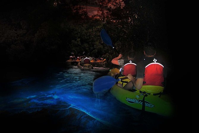 Overnight Bio Bay Kayak Tour in Vieques Island - Why the Vieques BioBay is worth seeing after dark