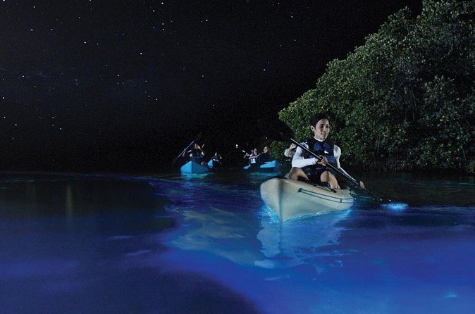 Overnight Bio Bay Kayak Tour in Vieques Island - Group size, timing, and service