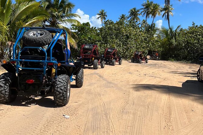 Piñones Beach Buggy + El Yunque Waterfall Adventure - Should you book the Piñones and El Yunque tour?