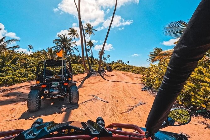 Piñones Beach Buggy + El Yunque Waterfall Adventure - What makes Loíza more than a beach backdrop