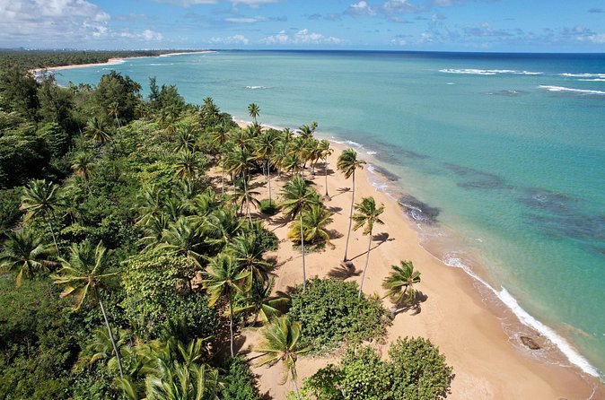PR Chinchorreo-Beach and Bar Hopping Tour - Crashboat Beach may be the highlight, but confirm it