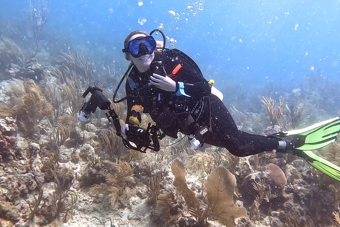 Private 2-Tank Dive with PADI Instructor for Certified Divers - Key points to know before booking