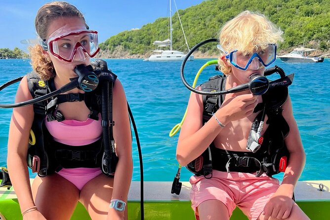 Private 2-Tank Dive with PADI Instructor for Certified Divers - Two reef stops from Fajardo’s Villa Marina