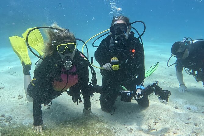 Private 2-Tank Dive with PADI Instructor for Certified Divers - How much value does $1,300 provide?