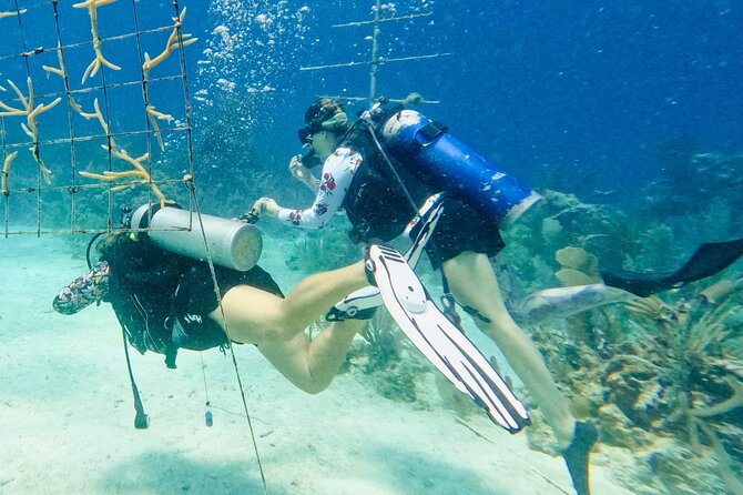 Private 2-Tank Dive with PADI Instructor for Certified Divers - Getting to the marina and keeping the morning simple
