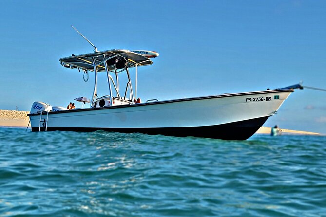 Private All-Inclusive 22ft Boat Guided Snorkeling Icacos Palomino - What is included, and what should you bring?