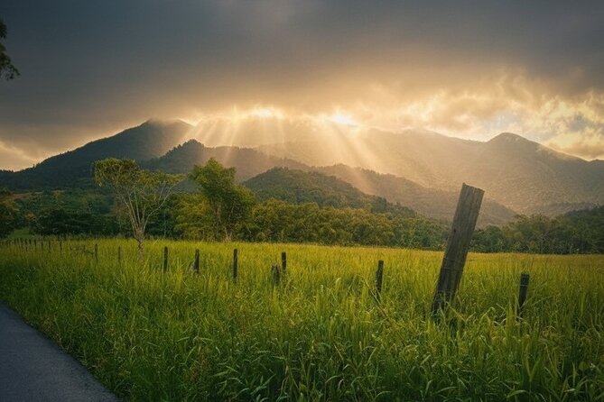 Private El Yunque Half-Day Tour with Transport - What your guide adds to the day