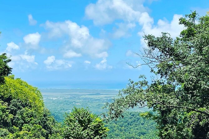 Private El Yunque Tour To Hidden Waterfall Remote Area - What the private group format changes