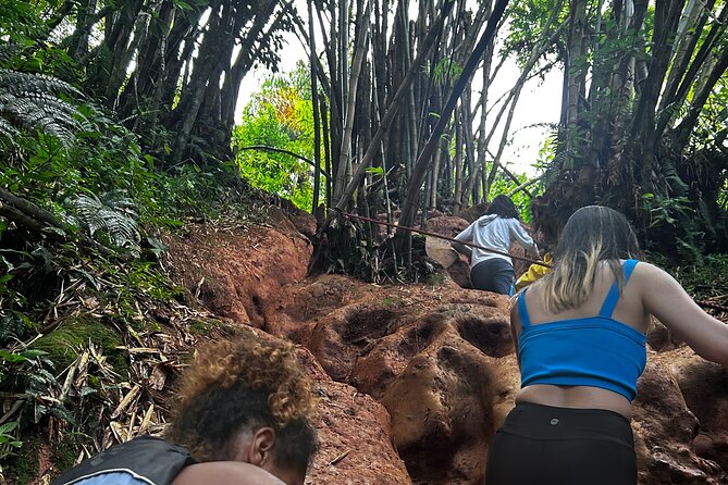 Private El Yunque Tour to Waterslide and Waterfalls - Snacks, fruit, bread, and bottled water