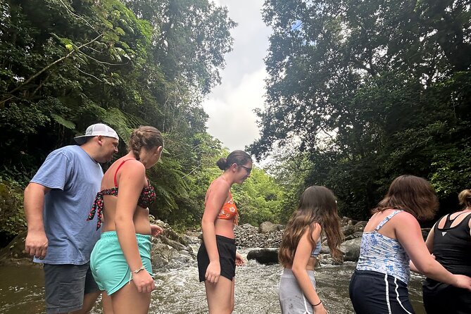 Private El Yunque Tour to Waterslide and Waterfalls - Hiking into the waterfall area