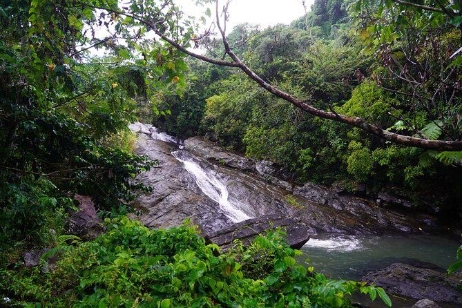 Private El Yunque Waterslides and Luquillo Beach Tour - How difficult is the rainforest walk?