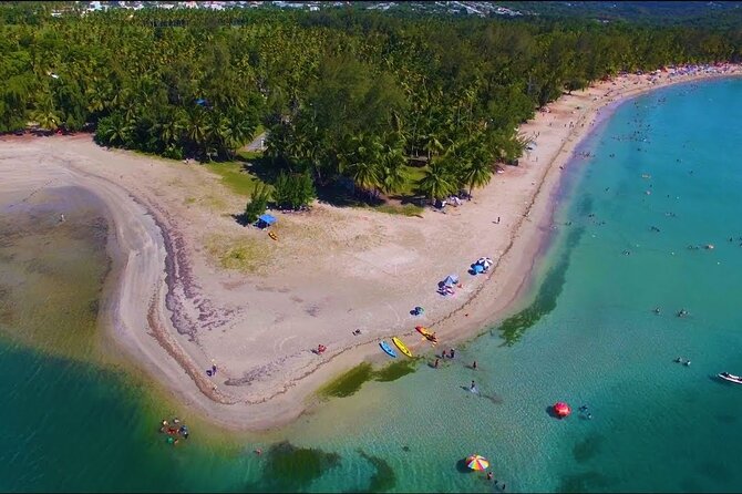 Private El Yunque Waterslides and Luquillo Beach Tour - What kind of guide should you expect?