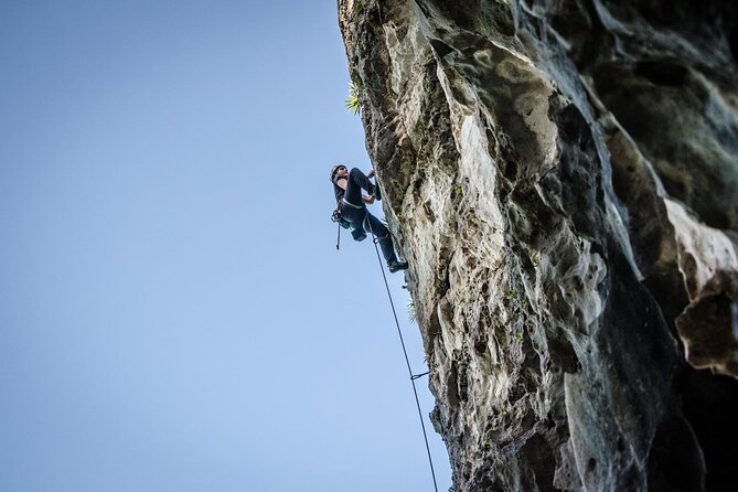 Private Guided Rock Climbing Trips in Puerto Rico - Real rock near San Juan, with El Mamon as the main draw