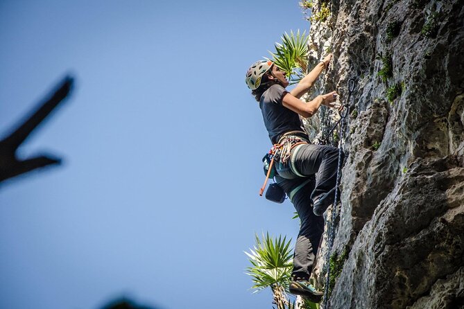 Private Guided Rock Climbing Trips in Puerto Rico - What the day does not provide