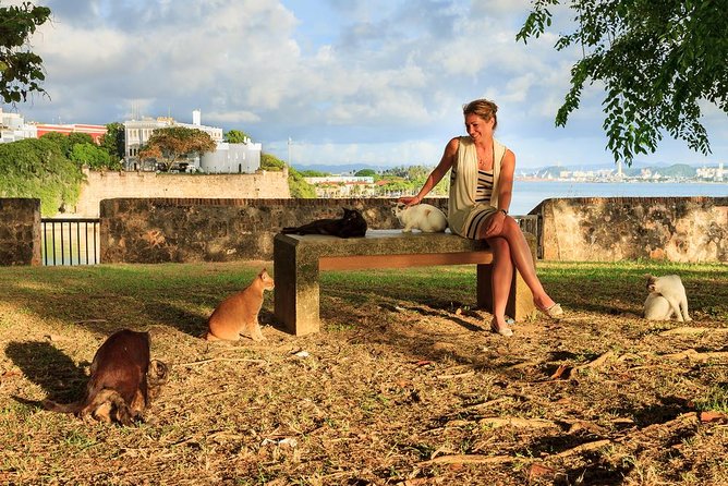 Private Old San Juan Walking Tour - Casa Blanca Museum and the $5 decision